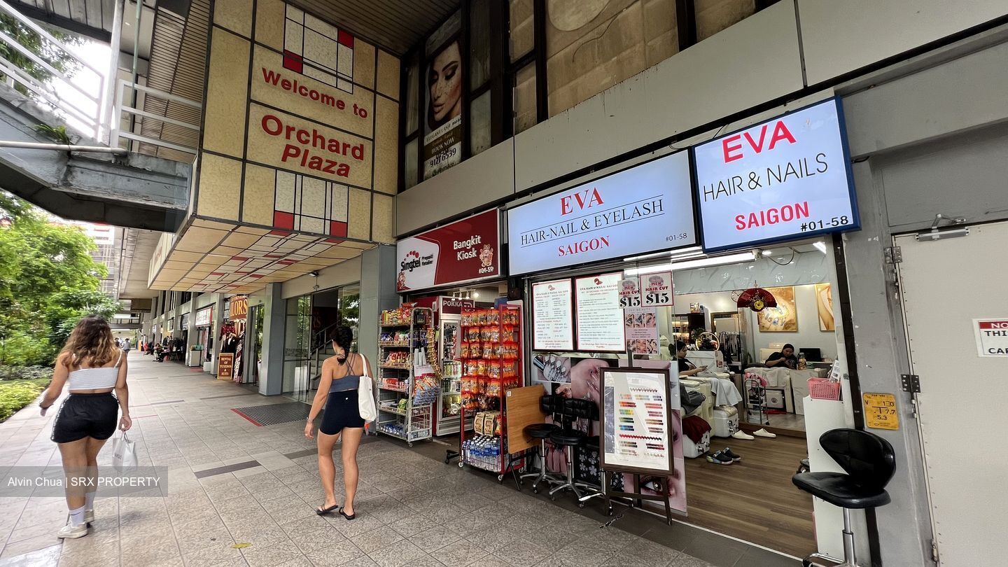 Orchard Plaza (D9), Retail #504096811